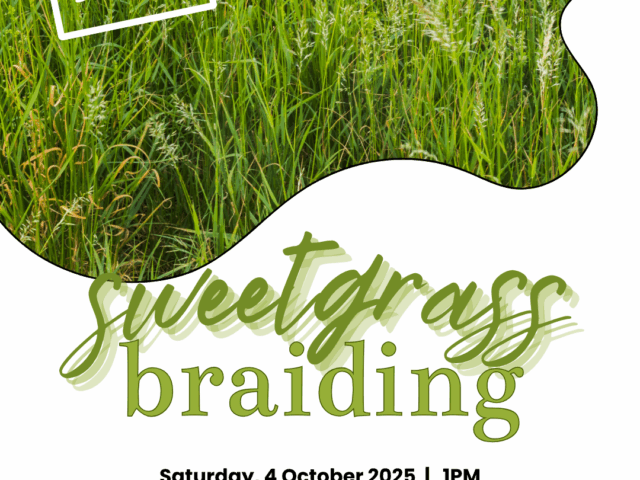 Sweetgrass Braiding