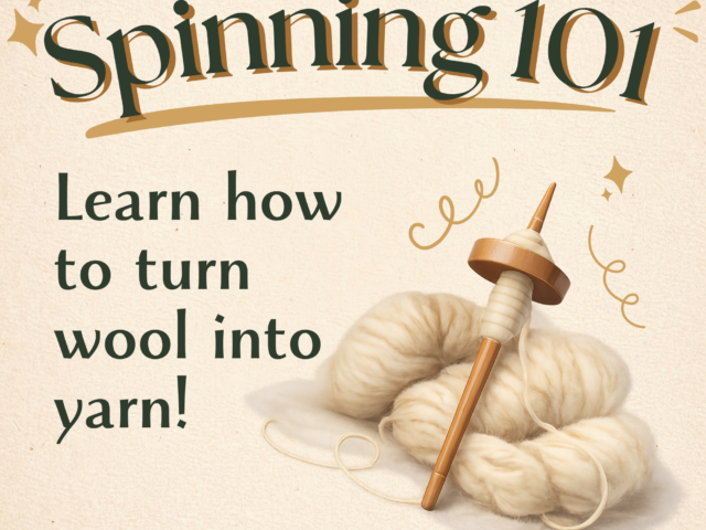 Spinning Mind Body Spirit Holistic Wellness